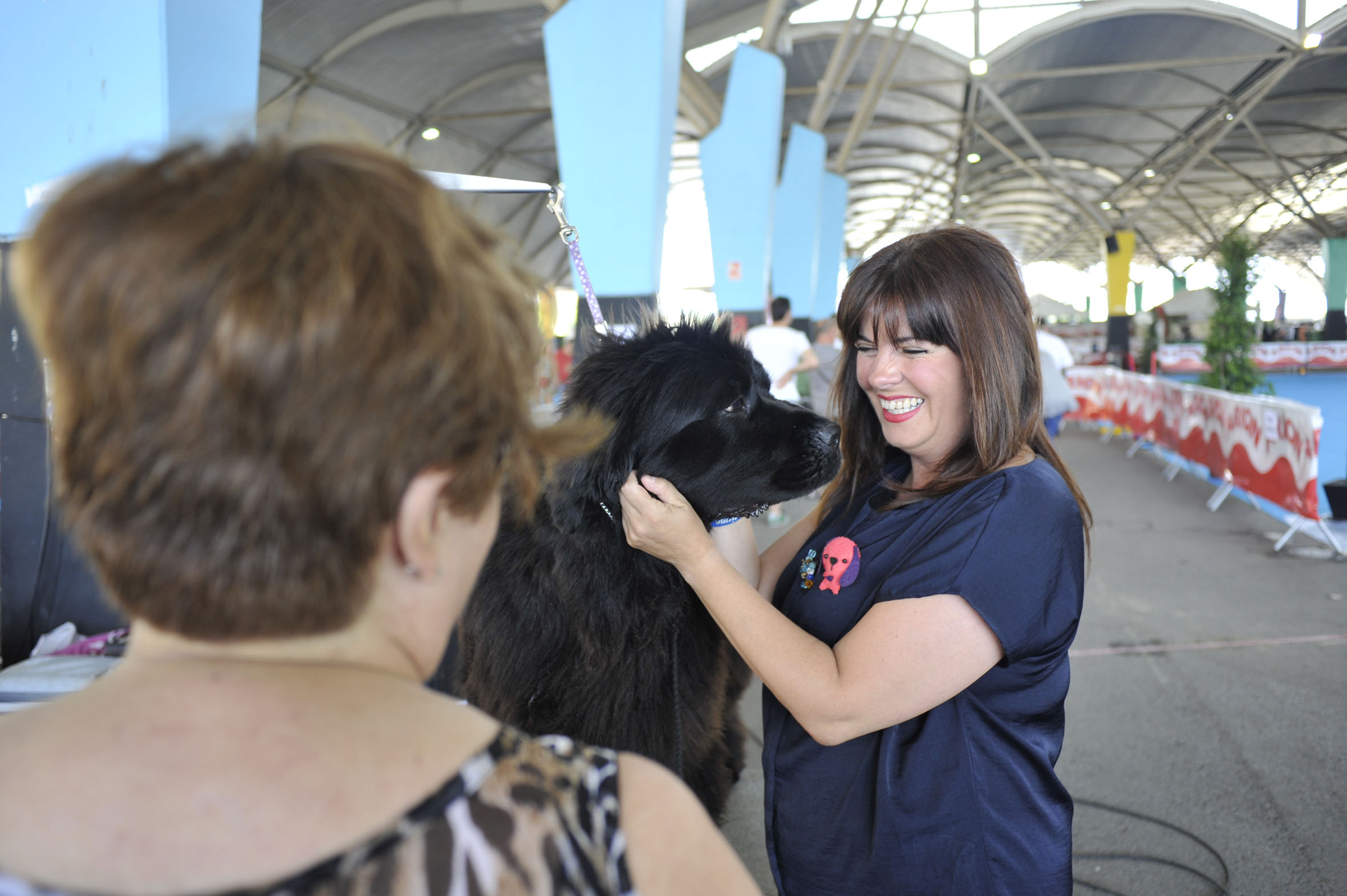 Campionat de Bellesa Canina 02.jpg