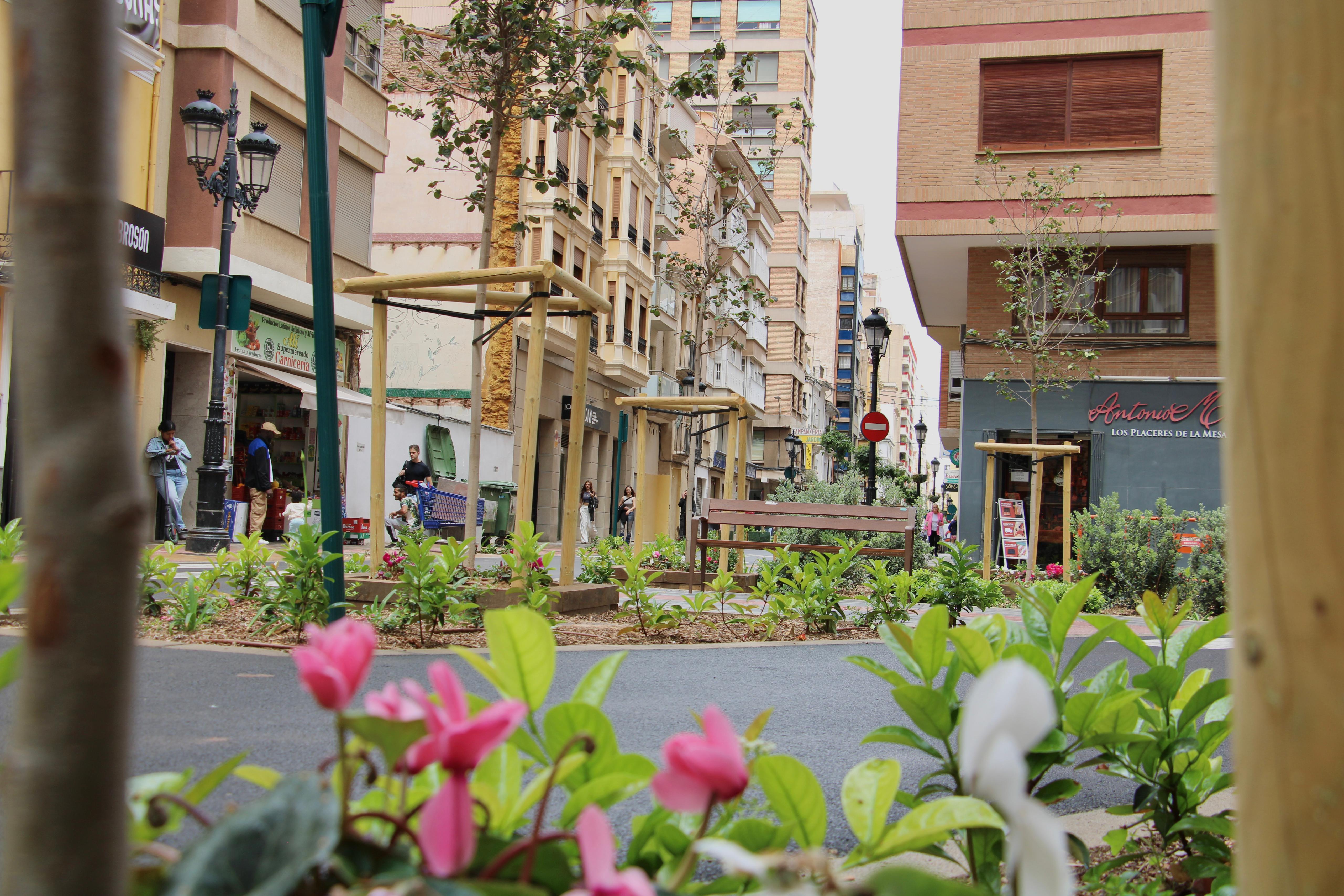 Esta semana finaliza la tercera fase de la calle Trinidad con las plantaciones de arbolado y vegetación