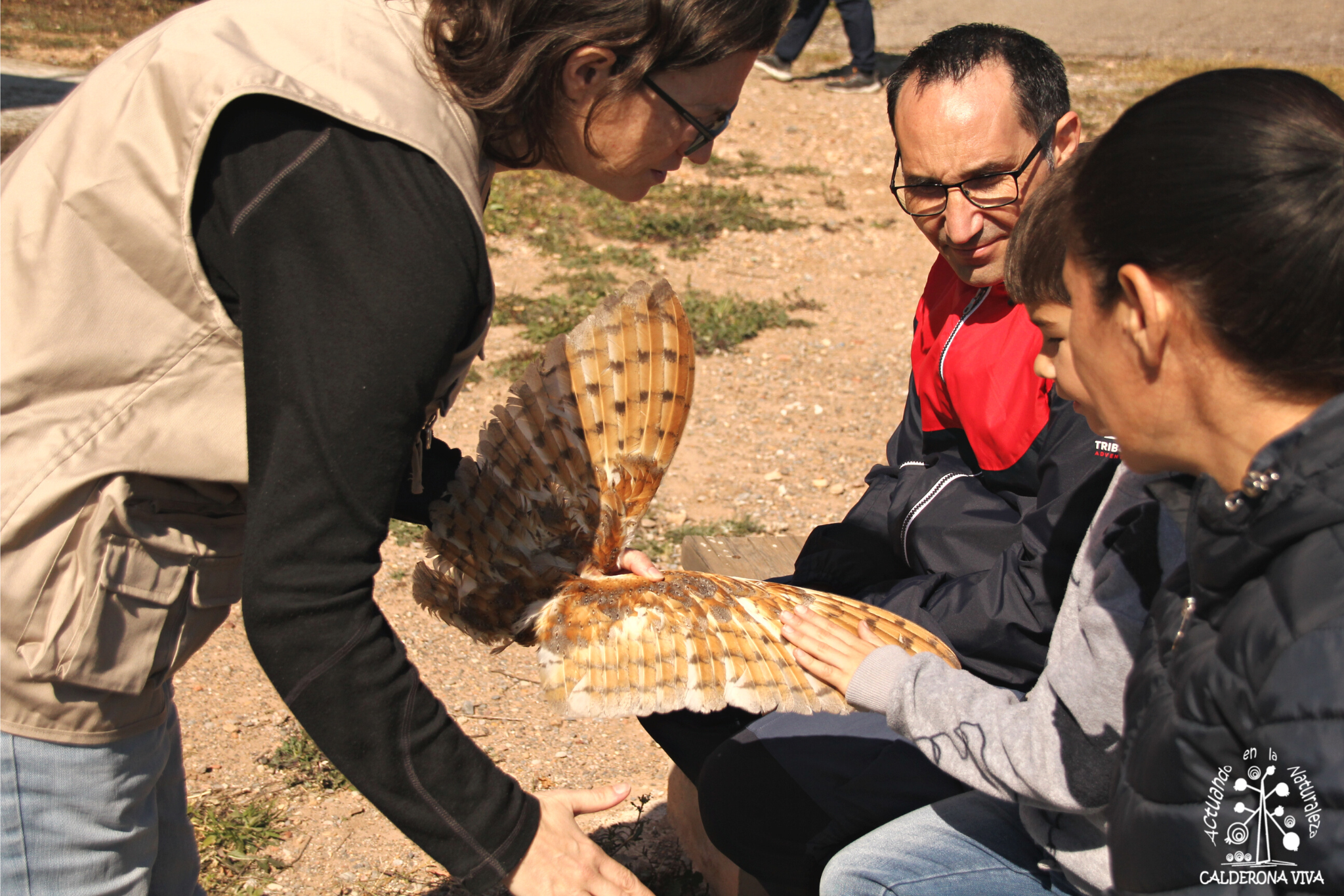 Castelló impulsa la segona convocatòria per a organitzar activitats d'educació ambiental a l'estiu