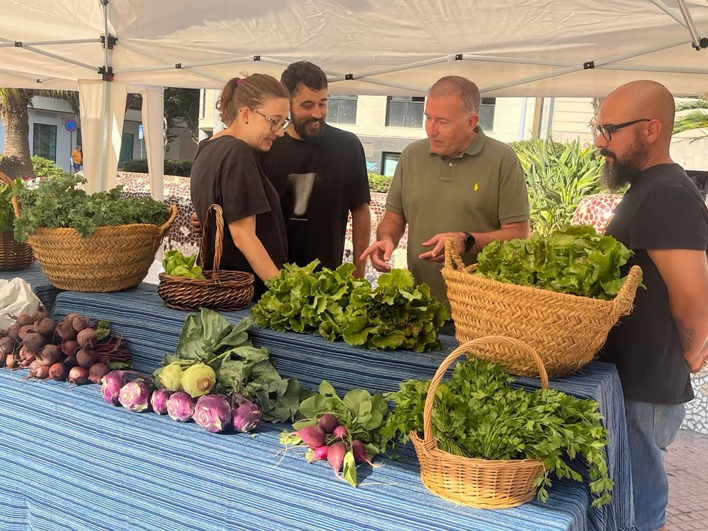 Castelló inaugura el seu mercat agroecològic 'Sabora' en la plaça Fadrell